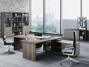 Кабинет руководителя Vilas