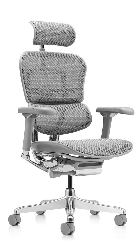 Кресло для руководителя Ergohuman Luxury 2