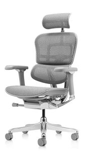 Кресло для руководителя Ergohuman Luxury 2
