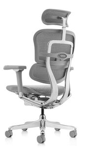 Кресло для руководителя Ergohuman Luxury 2